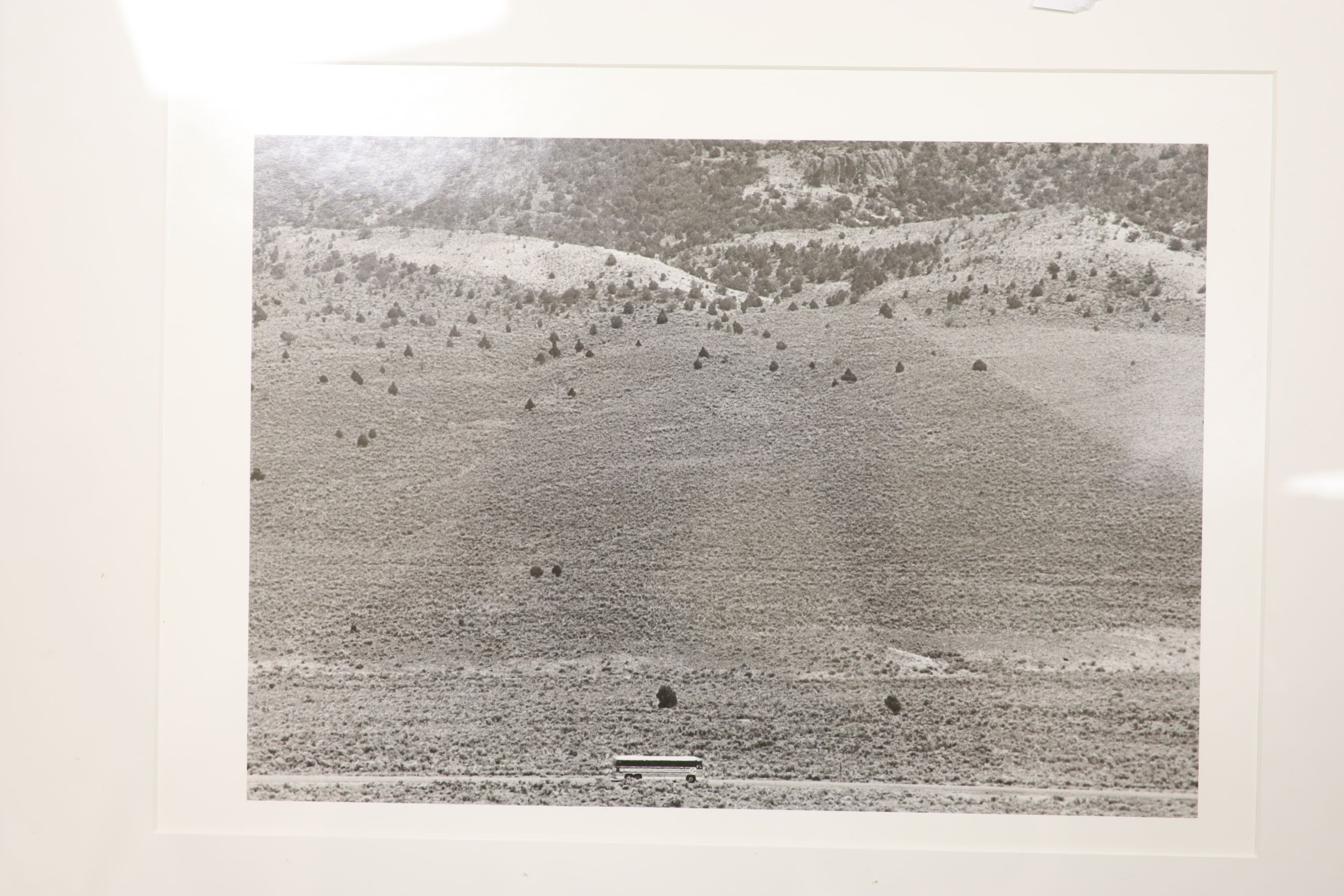A collection of eleven assorted contemporary black and white photographs